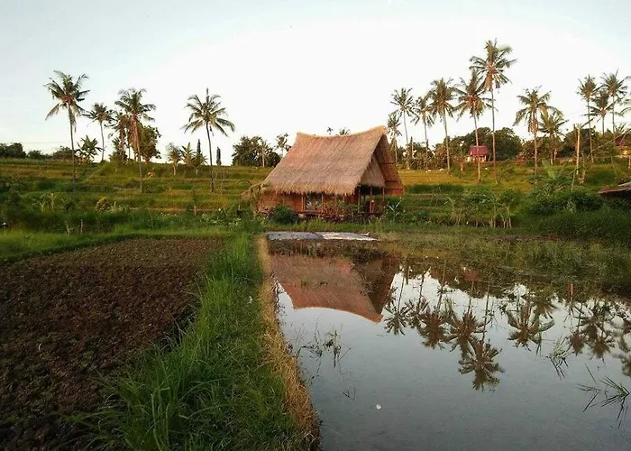 Cute Eco Near 7 Waterfalls