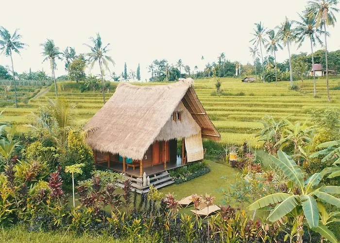 Cute Eco Near 7 Waterfalls Vakantiehuis Singaraja