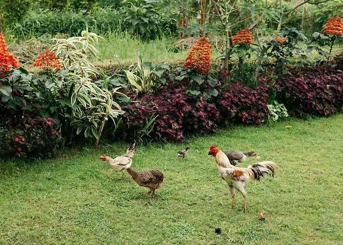 Cute Eco Near 7 Waterfalls Vakantiehuis *