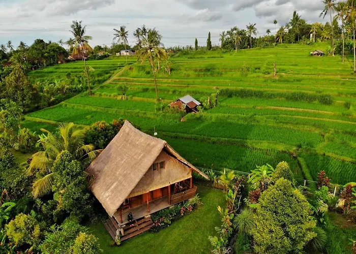 Cute Eco Near 7 Waterfalls Vakantiehuis *