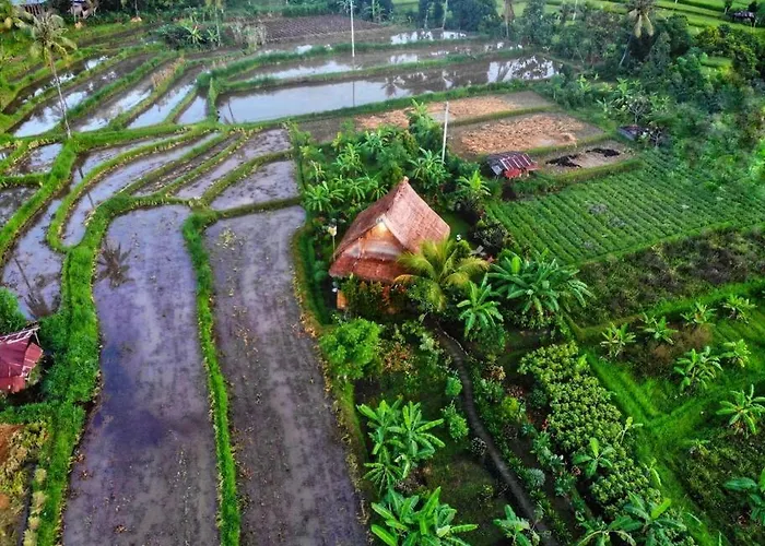Vakantiehuis Cute Eco Near 7 Waterfalls Singaraja