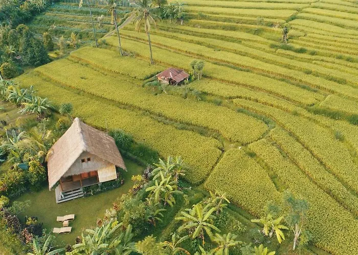 Cute Eco Near 7 Waterfalls Singaraja