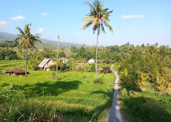 Cute Eco Near 7 Waterfalls Vakantiehuis Singaraja