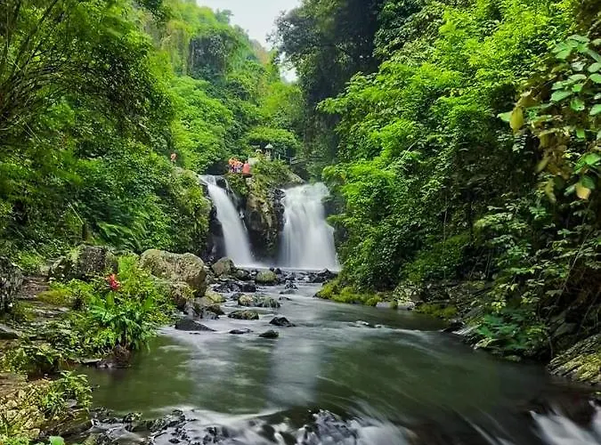 Cute Eco Near 7 Waterfalls * Singaraja