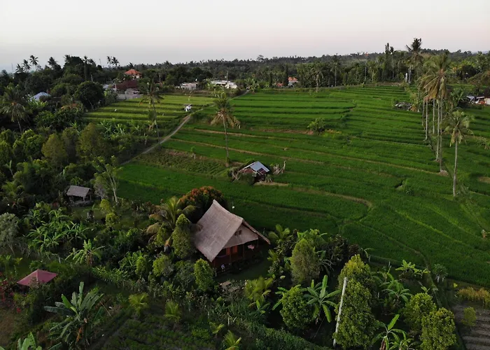 Cute Eco Near 7 Waterfalls Vakantiehuis *